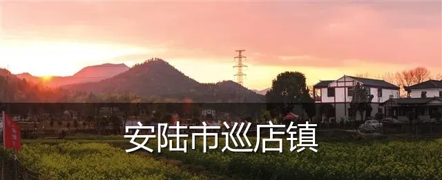 安陆市巡店镇