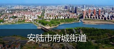 安陆市府城街道