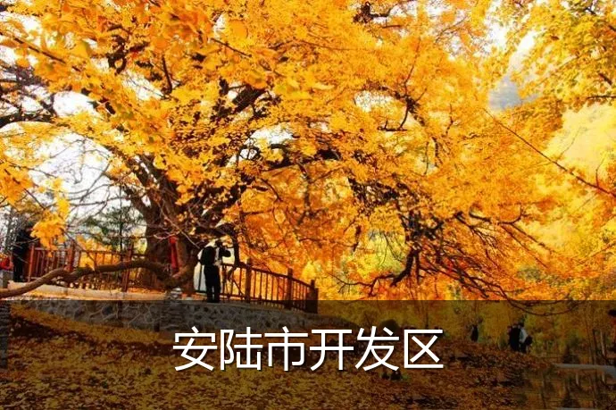 安陆市开发区