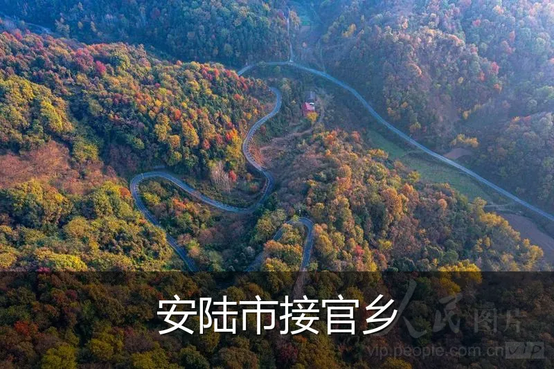 安陆市接官乡