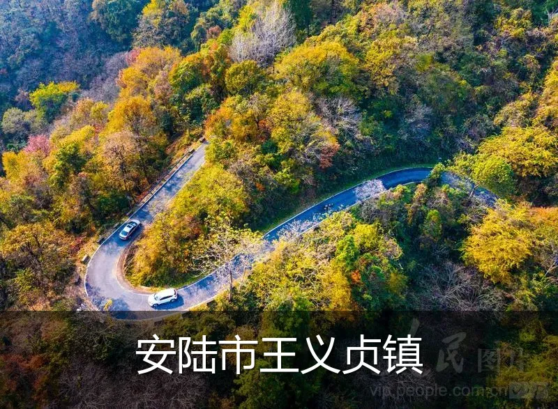 安陆市王义贞镇