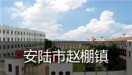 安陆市赵棚镇