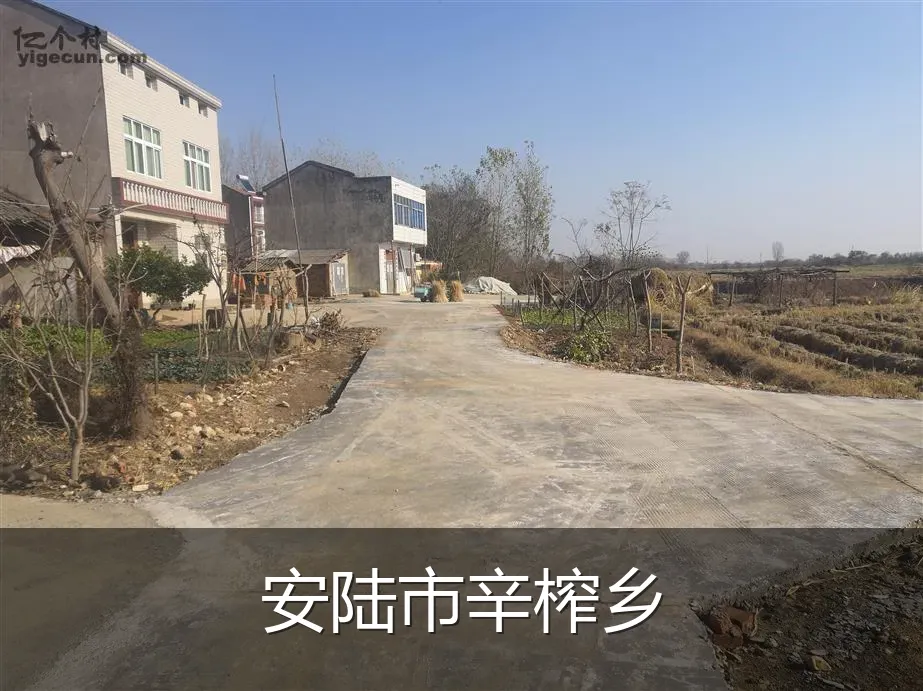 安陆市辛榨乡